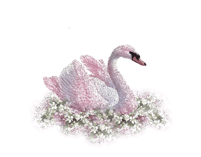 que  cest jolie sa brille