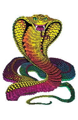 tres jolie se serpent