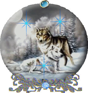 loups dans la neige
