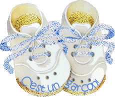 tres belle chaussure